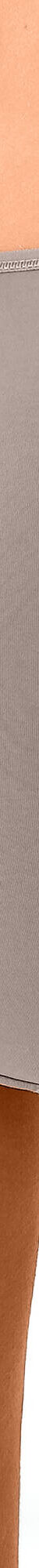 Culotte microfibre forme maxi   – Lot de 2 (taupe) Culotte microfibre forme maxi   – Lot de 2 (taupe)